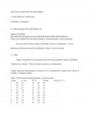 Reporte segunda condición de equilibrio