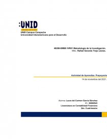 METODOLOGÍA DE LA INVESTIGACION PREPROYECTO. Página 1
