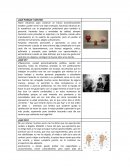 FORMATO MAPA DE EMPATIA