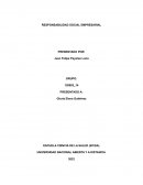 Ensayo de responsabilidad social