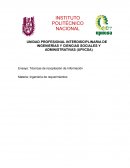 ENSAYO - TECNICAS DE RECOPILACION DE INFORMACION