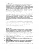 Desarrollo tecnológico
