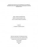 ESTRATEGIAS TRABAJO EN EQUIPO