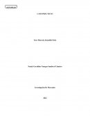 CASO PRÁCTICO I INVESTIGACIÓN DE MERCADOS