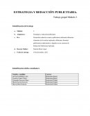 ESTRATEGIA Y REDACCIÓN PUBLICITARIA