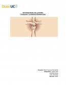 DOCTRINA SOCIAL DE LA IGLESIA 1ª Evaluación “La Historia de Bombera Paty”