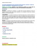 Actividad experimental Distingue entre sólidos, liquidos y gases de manera experimental: propiedades de los gases