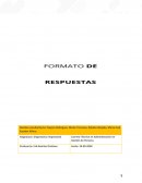 Comprendiendo la ventaja competitiva