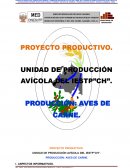 PRODUCCION, MANEJO Y COMERCIALIZACIÓN DE POLLOS TIPO CARNE