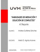 Habilidades de solución y mediación de conflictos
