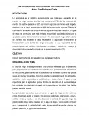 Importancia del agua de riego en la agricultura