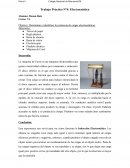 Trabajo Práctico N°4: Electroestática