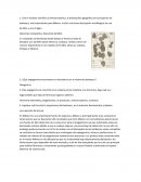 Morfología de tallos. Tallo de importancia en la Farmacia