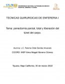PENECTOMIA PARCIAL, TOTAL Y LIBERACION TUNEL CARPO