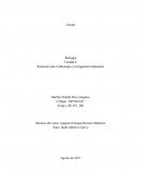¿Cómo se relaciona la biología con la ingeniería industrial?