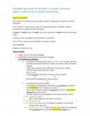 Estrategias de producción de textos expositivos