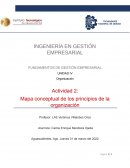 Actividad 2: Mapa conceptual de los principios de la organización