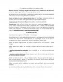 El mercado como realidad y el mercado como idea