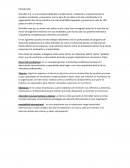 Introducción Schindler S.A RRHH