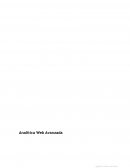 ANALITICA WEB AVANZADA