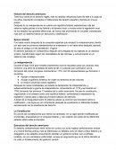 Derecho Norteamericano o Common law