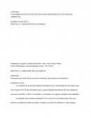 PRÁCTICA 2. OXIDACIÓN DE ALCOHOLES