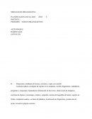 PERIODOS NODOS ORGANIZATIVOS. ACTIVIDADES HABITUALES