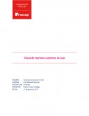 Flujos de ingresos y egresos de caja