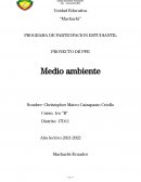 PROYECTO DE PPE Medio ambiente