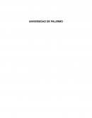 Trabajo Individual_Caso de Harvard - El Bulli - El Sabor de la Innovación