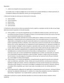 La escuela, encrucijada de culturas