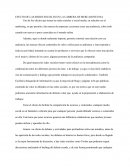 EFECTO DE LAS REDES SOCIALES EN LA CARRERA DE MERCADOTECNIA