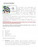 ¿Qué son las proteínas?