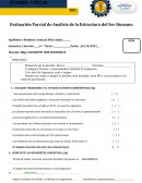 Evaluación Parcial de Analisis de la Estructura del Ser Humano