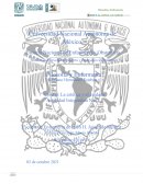 Unidad 7 filosofia y enfermeria 5to semestre