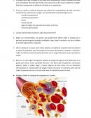 Biología - sangre