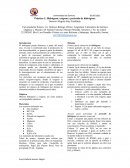 Práctica 3 Obtención de Hidrógeno, Oxígeno y Peróxido de Hidrógeno