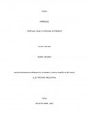 Guia 4 redes de media y baja tension