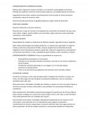 Empoderamiento económico de las mujeres