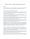 Gestión de riesgos en salud: Un camino histórico hacia la seguridad y la eficiencia
