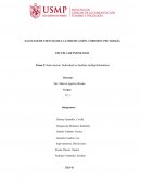 Intervención Individual en familias multiproblemáticas