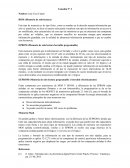 MEMORIAS ELECTRONICAS