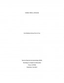 Informe Oferta y Demanda