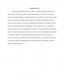 ESTADO DE ACTIVIDAD FINANCIERA, ECONÓMICA, SOCIAL Y AMBIENTAL