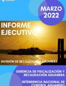 INFORME EJECUTIVO SUNAT