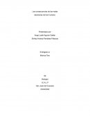 Las consecuencias de las malas decisiones del ser humano