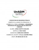 Organismos Regionales de Protección de los Derechos Humanos