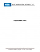 Ratios Financieros