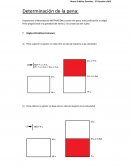 Apuntes Determinación de la Pena