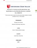 Plan de acción para la creación de camas para animales mediante el reciclado de llantas en Piura – 26 de Octubre
